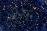 Vivid Blue, Cut/Polished Azurite Nodule Slice - Siberia #209512-1